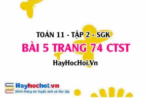 Bài 5 trang 74 Toán 11 tập 2 Chân trời sáng tạo: Hình chóp cụt tứ giác đều